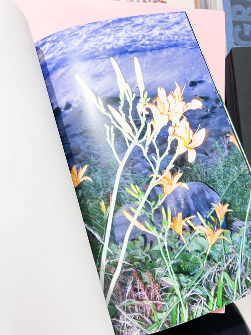 YOUNG GREEN LETTER / Taisuke Nakano, Yosuke Kobashi