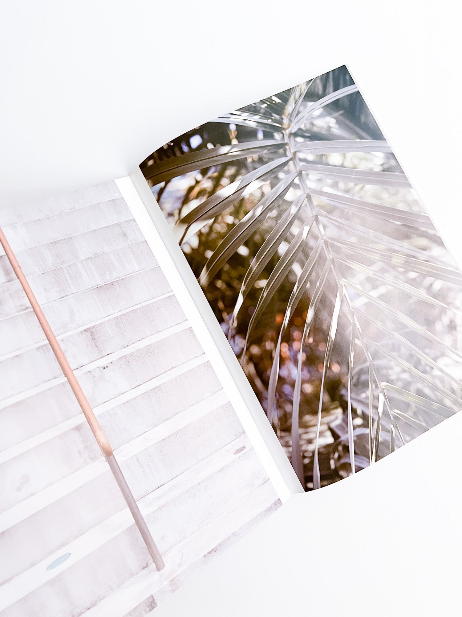 Nods / Misa Asanuma