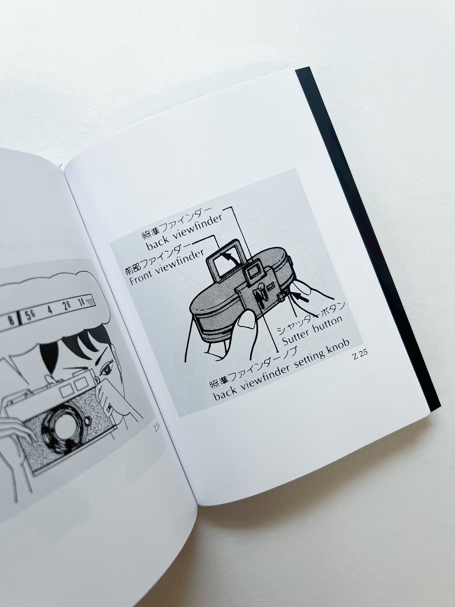 HOLDING THE CAMERA / Alberto Vieceli