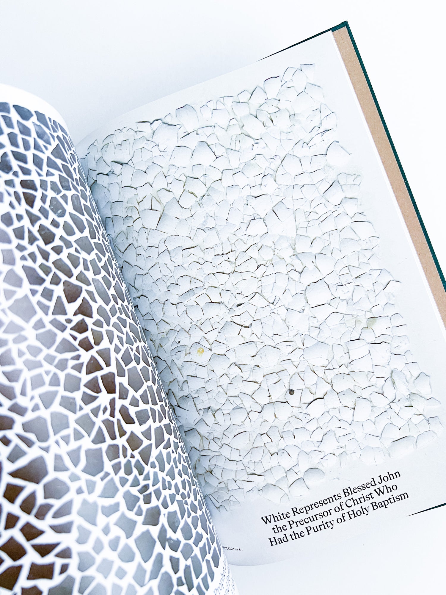 Bestiary / Anne Geene, Arjan de Nooy