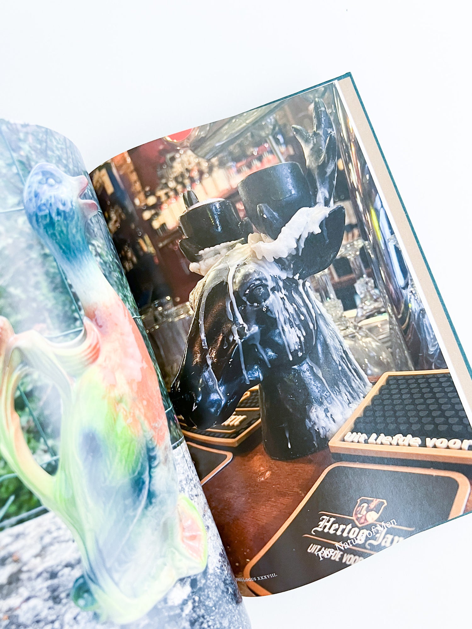 Bestiary / Anne Geene, Arjan de Nooy
