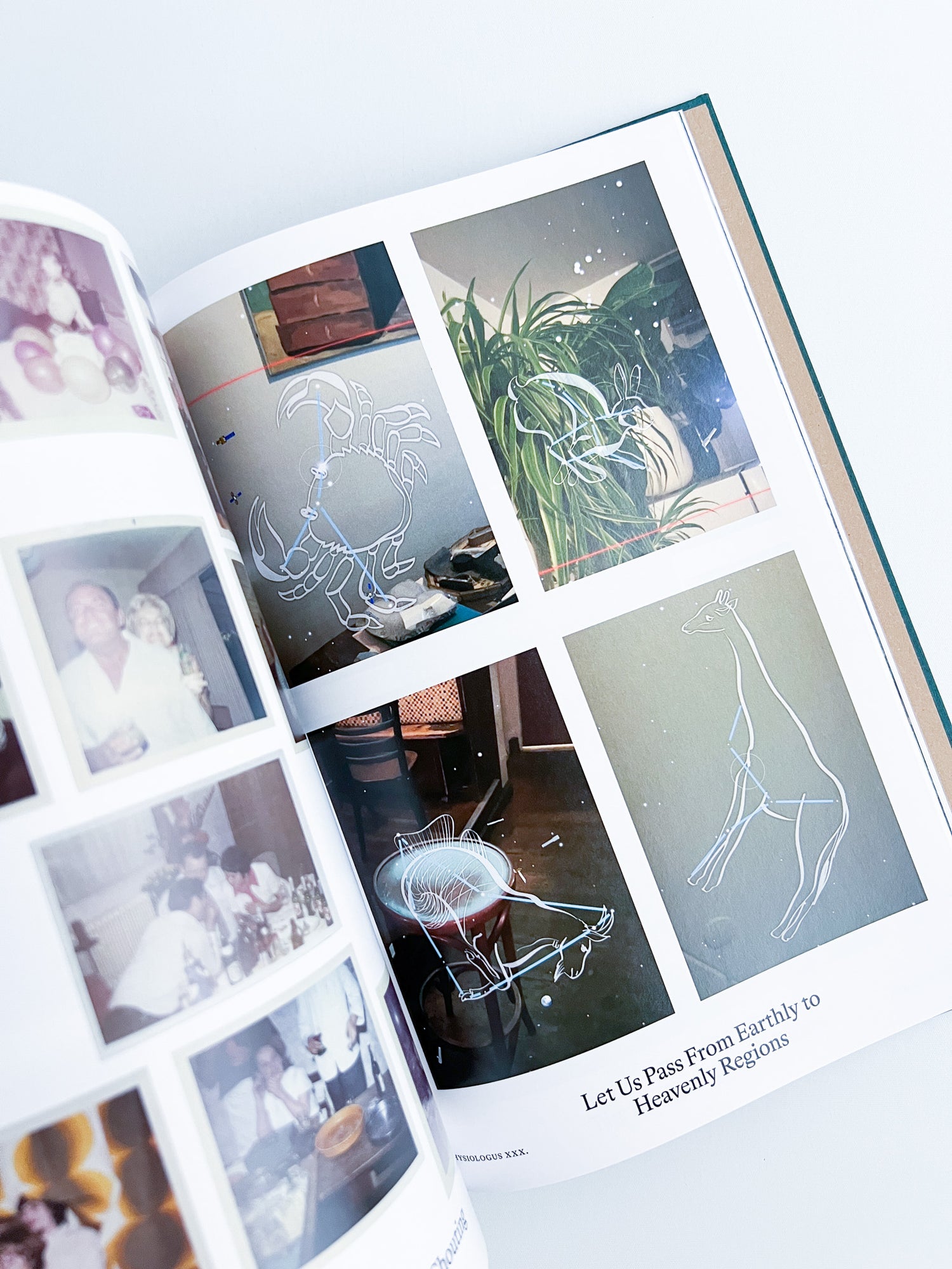 Bestiary / Anne Geene, Arjan de Nooy
