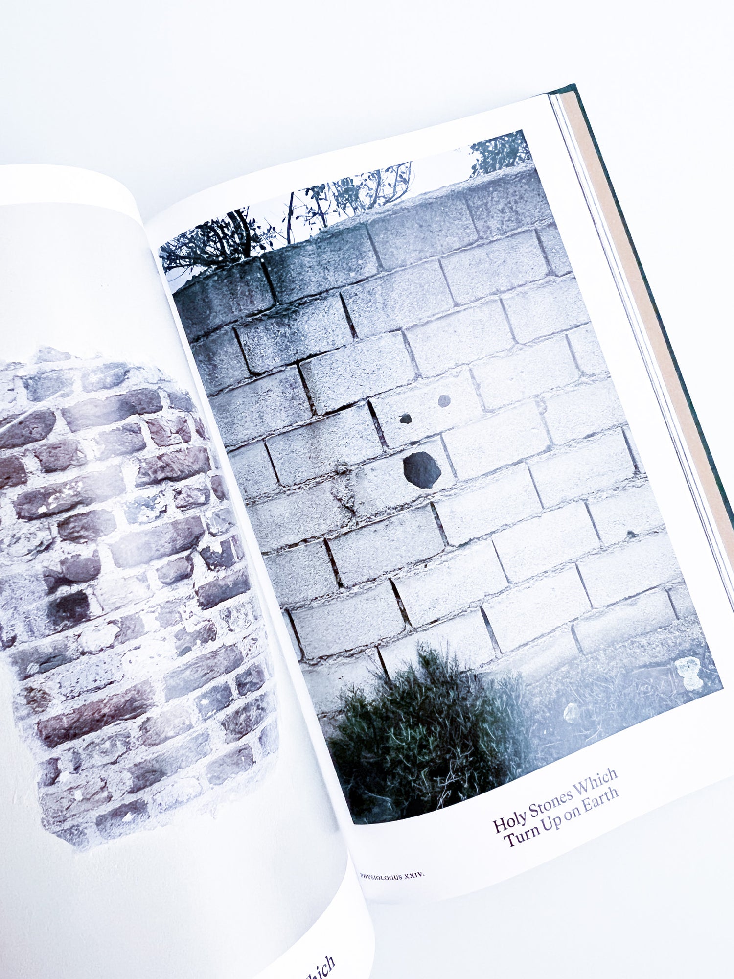 Bestiary / Anne Geene, Arjan de Nooy