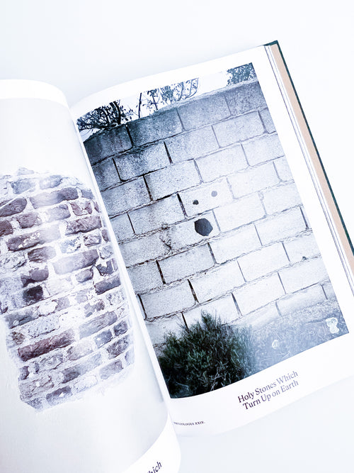 Bestiary / Anne Geene, Arjan de Nooy
