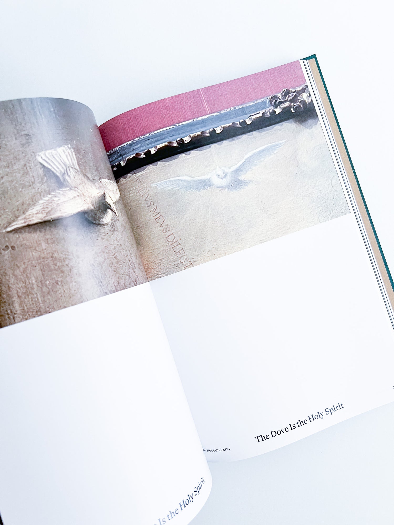 Bestiary / Anne Geene, Arjan de Nooy