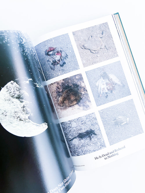 Bestiary / Anne Geene, Arjan de Nooy