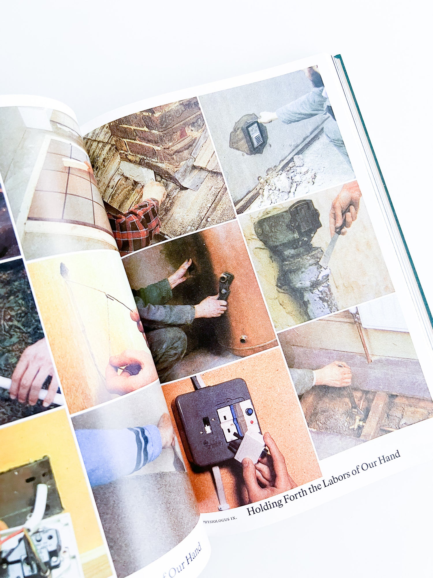 Bestiary / Anne Geene, Arjan de Nooy