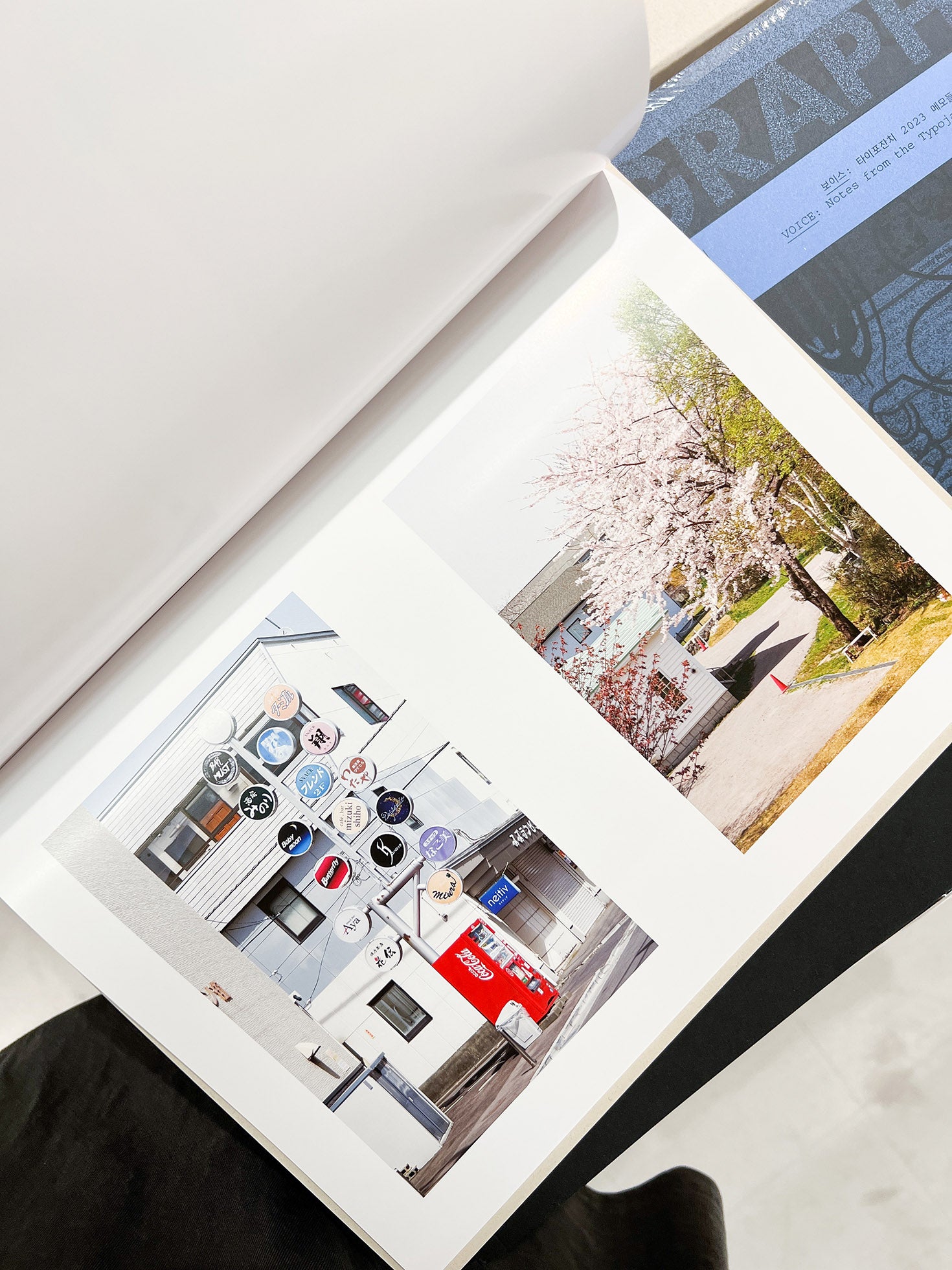 How Things Look / Max Creasy