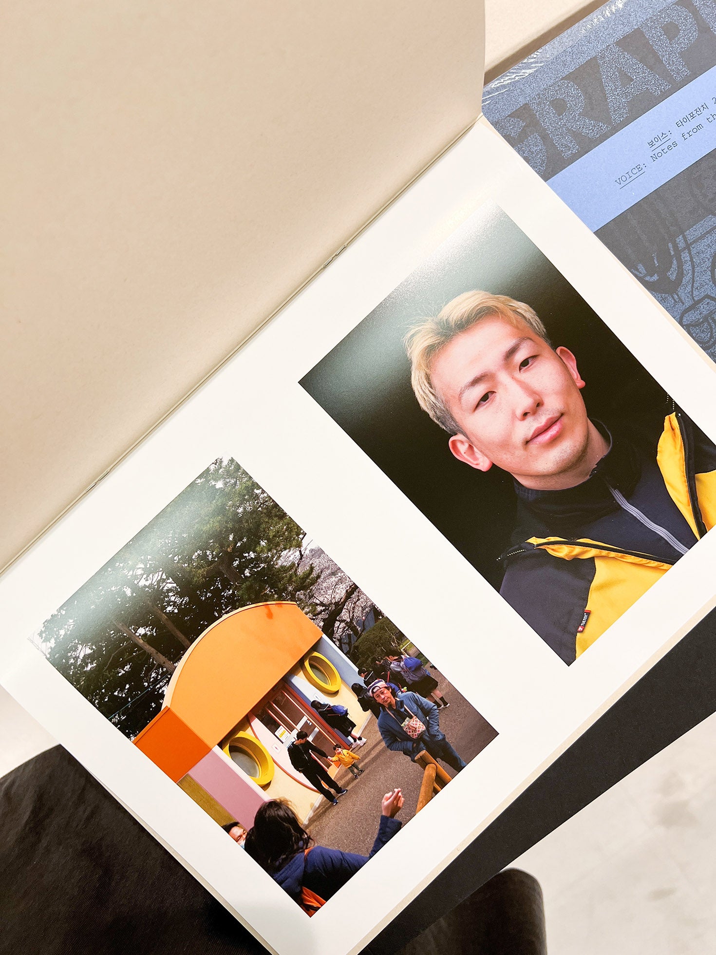 How Things Look / Max Creasy