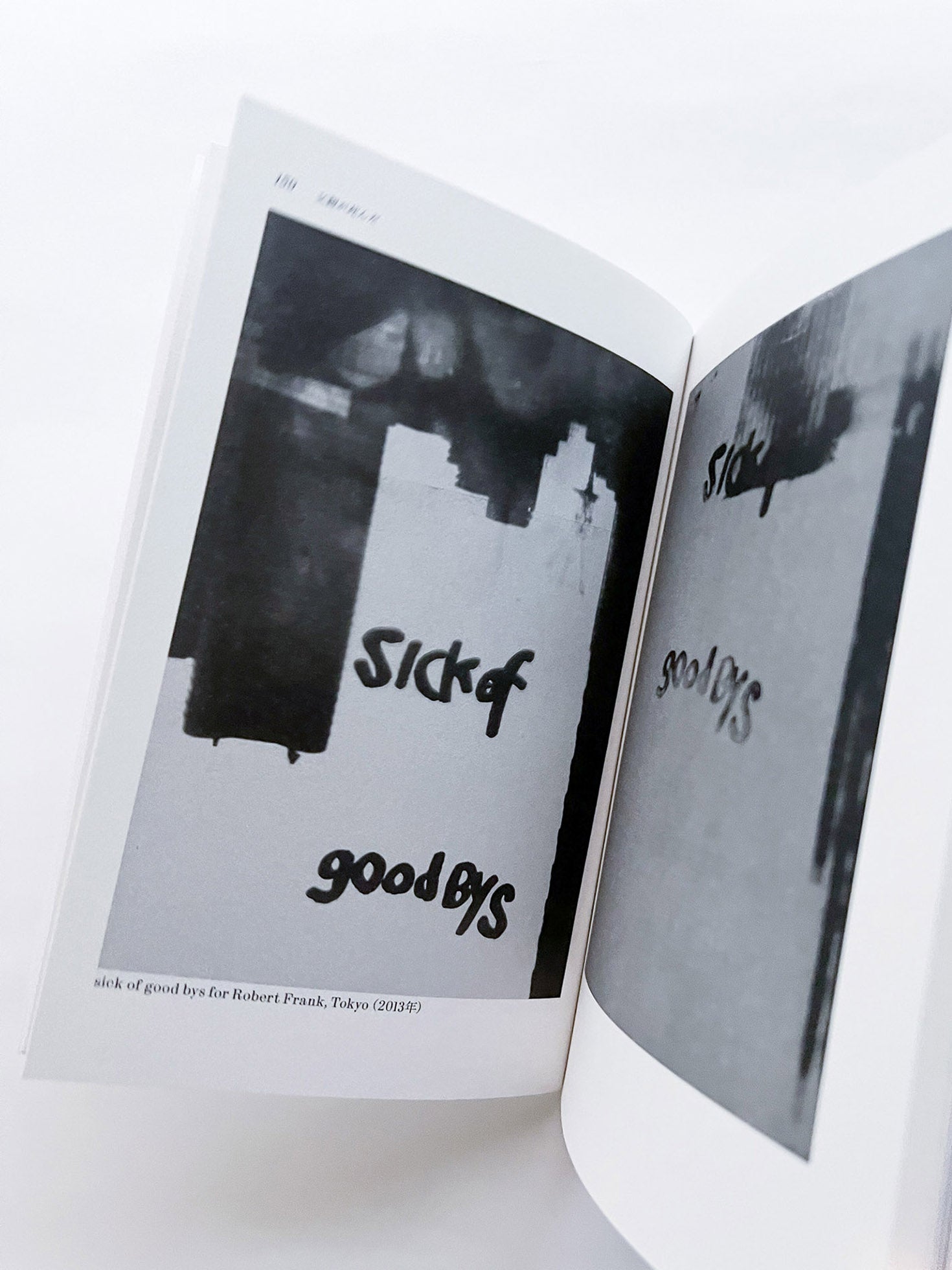 seeing itself 新しい写真のために for new photography / ホンマタカシ