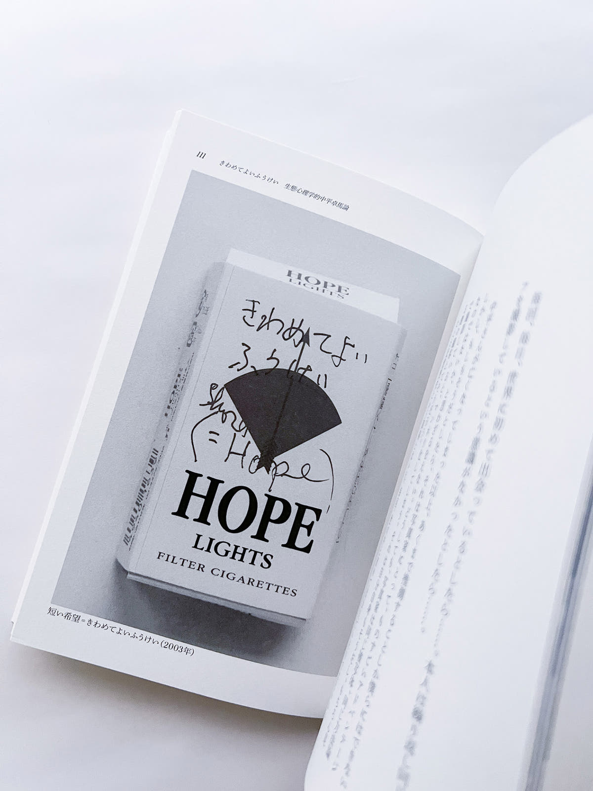 seeing itself 新しい写真のために for new photography / ホンマタカシ
