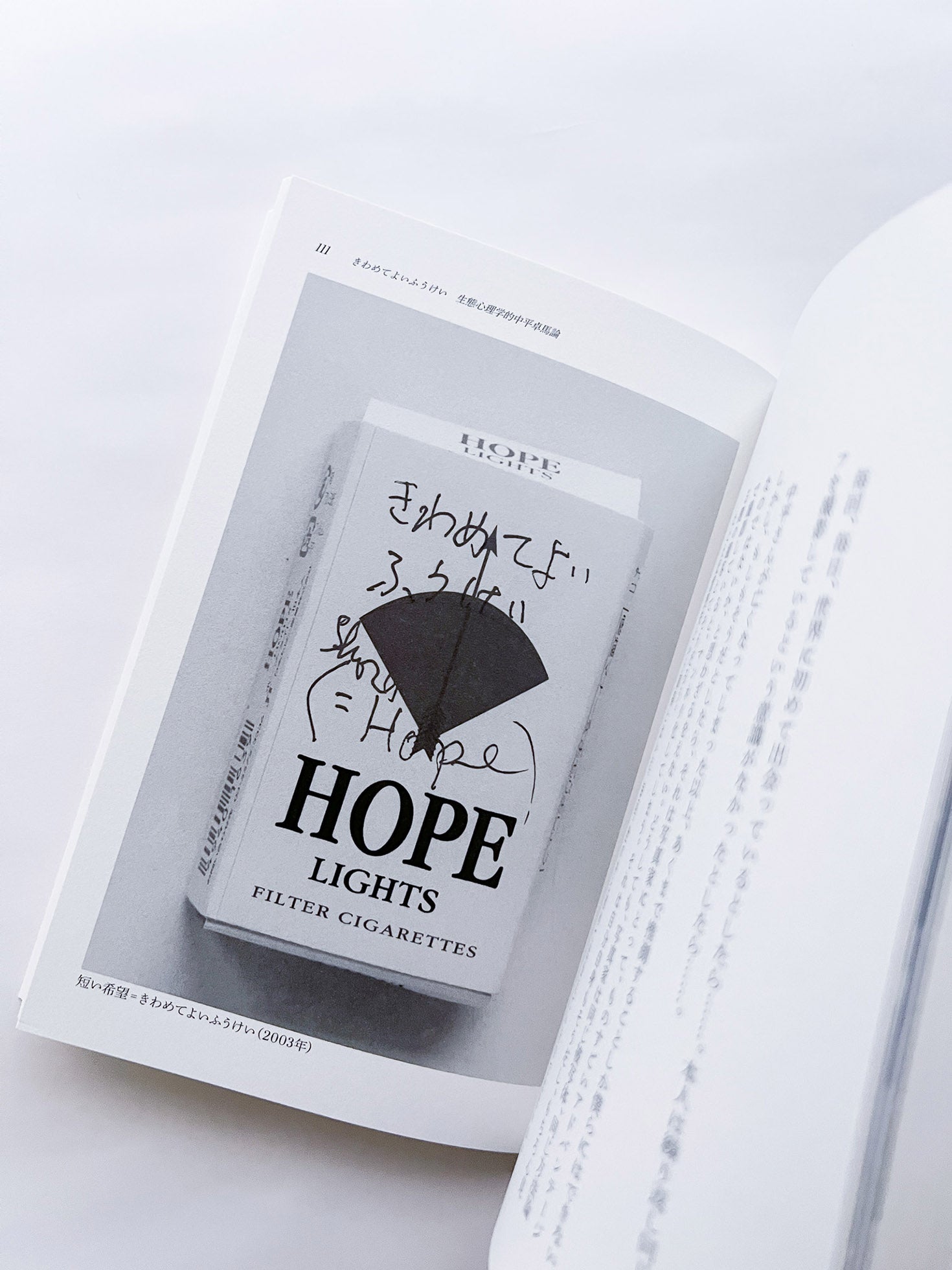 seeing itself 新しい写真のために for new photography / ホンマタカシ