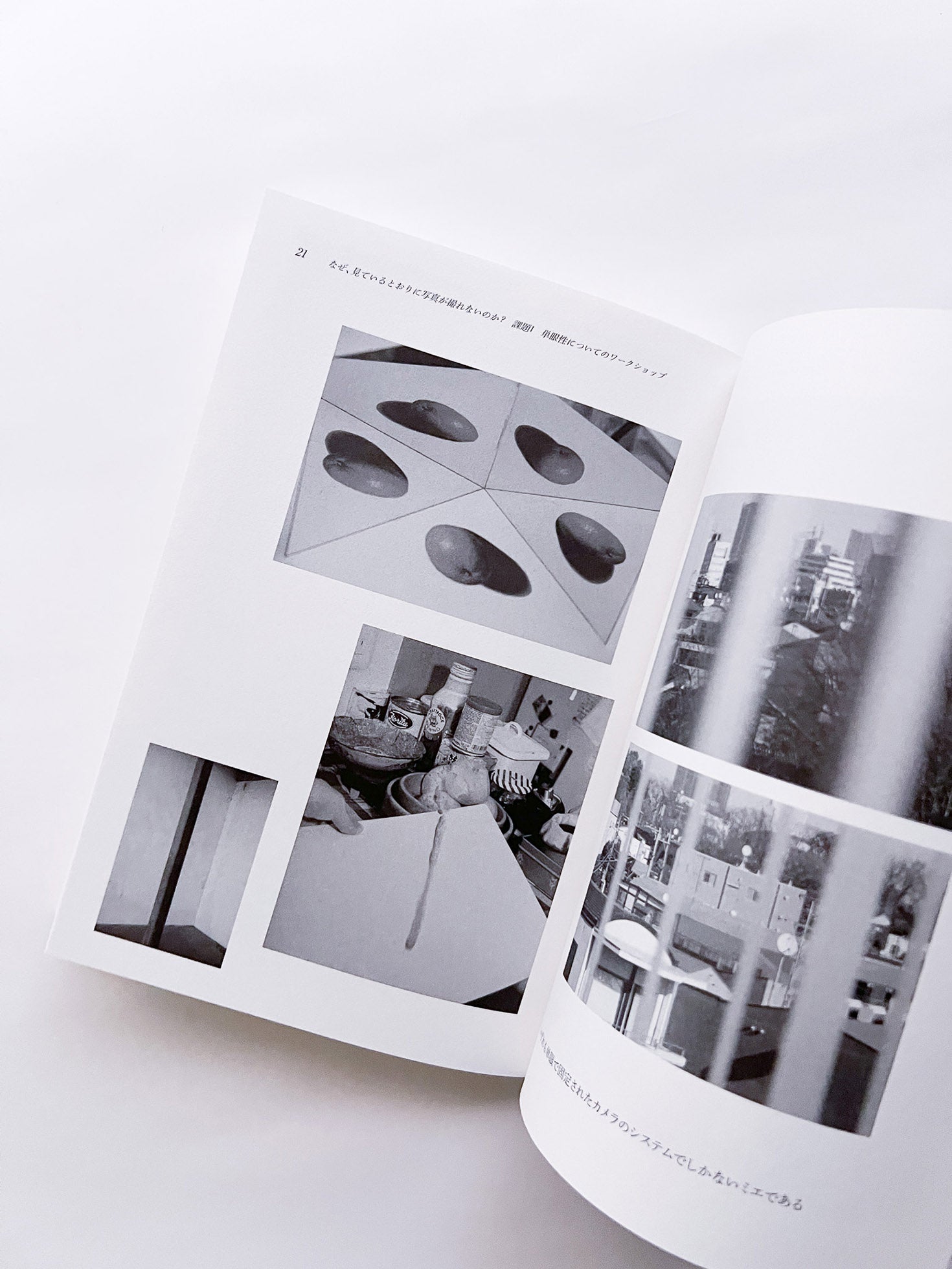 seeing itself 新しい写真のために for new photography / ホンマタカシ