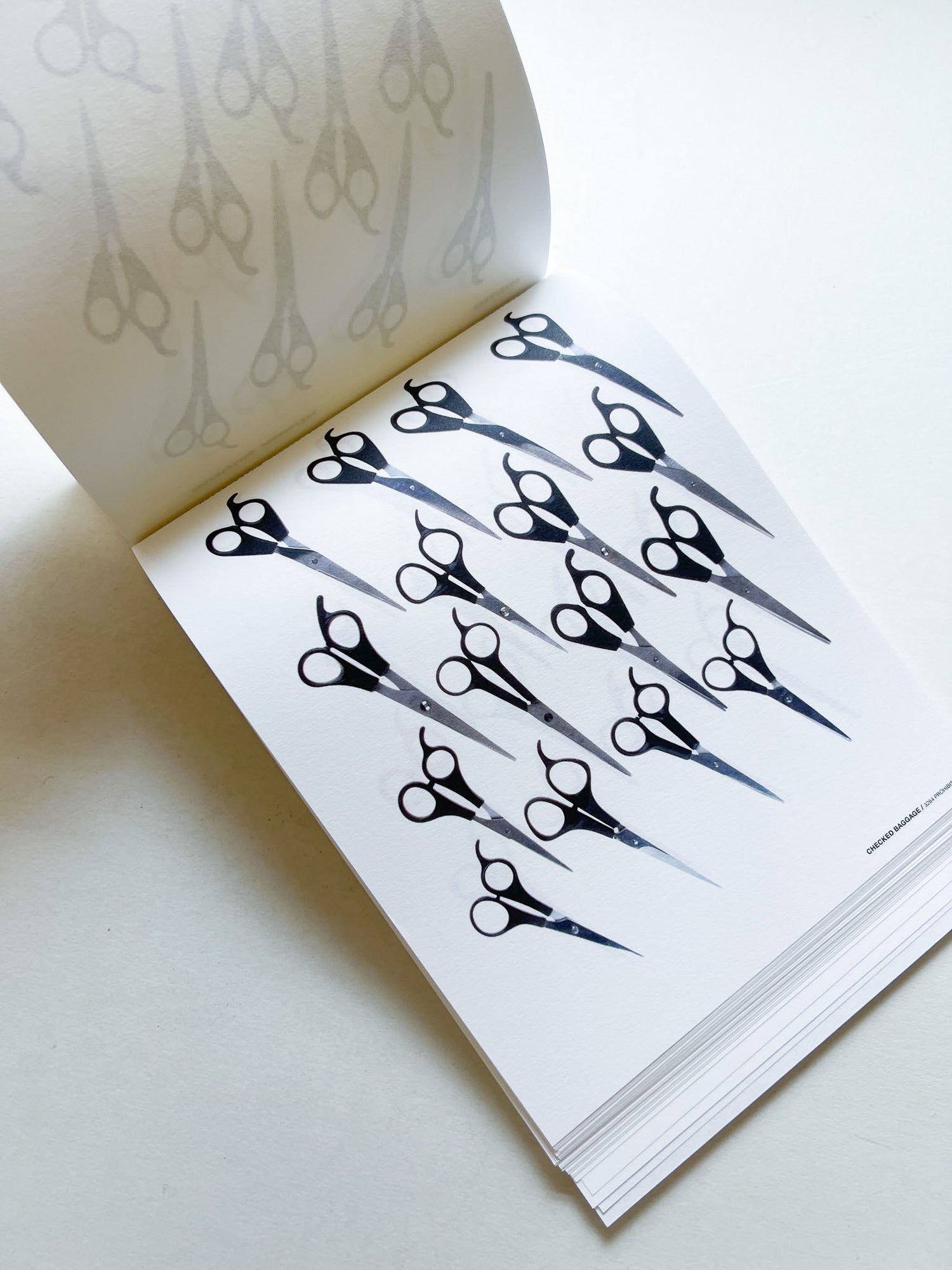 Checked Baggage [2nd and last edition] / Christien Meindertsma