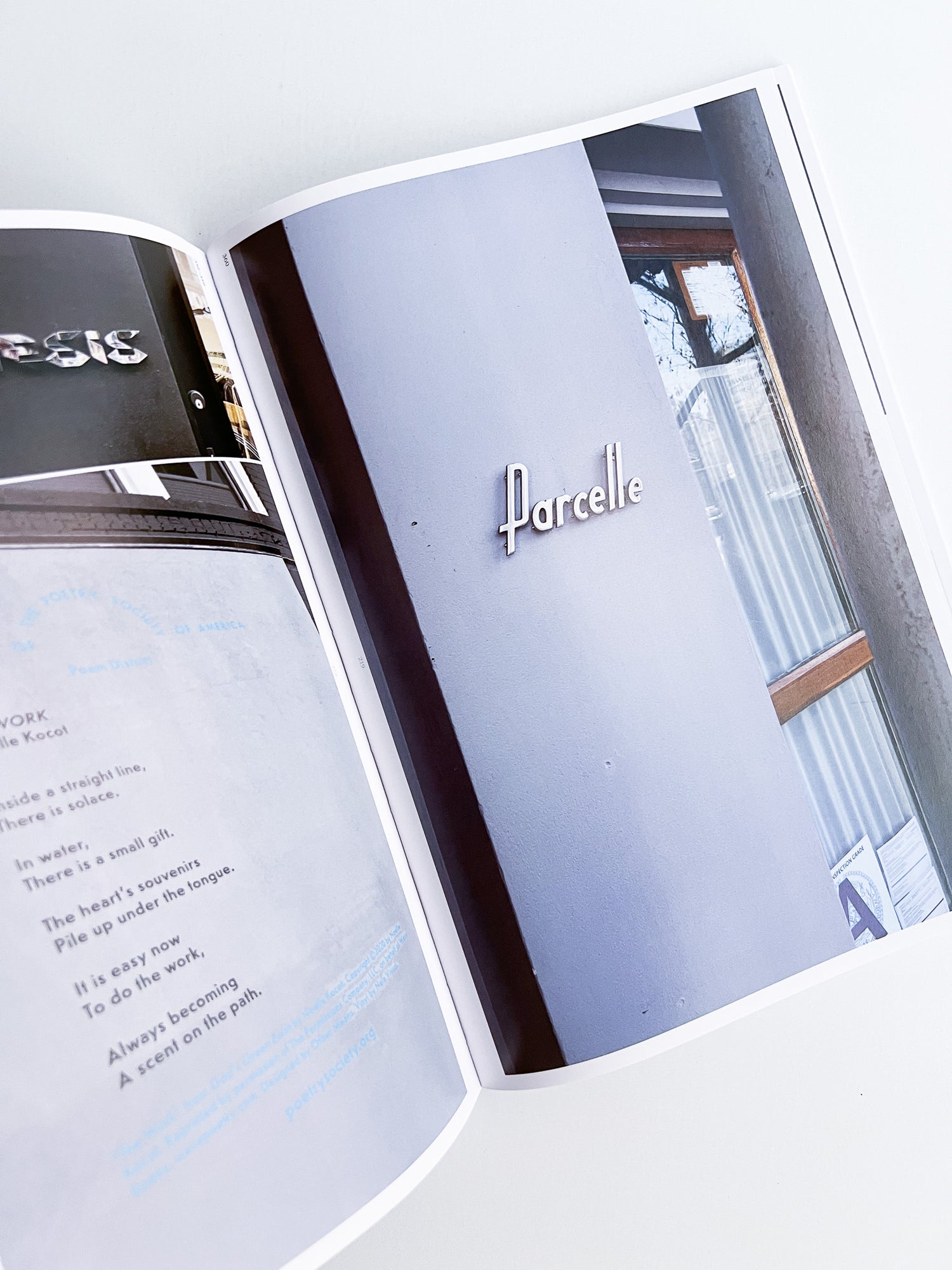 Typography In NYC 3 -10th Anniversary Edition / Joyce Shi