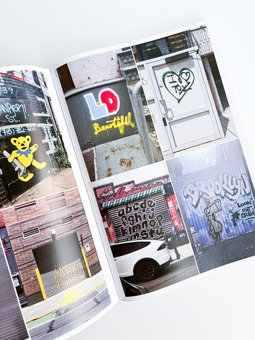 Typography In NYC 3 -10th Anniversary Edition / Joyce Shi