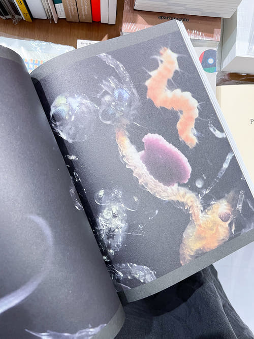 DRAIN ISSUE 01