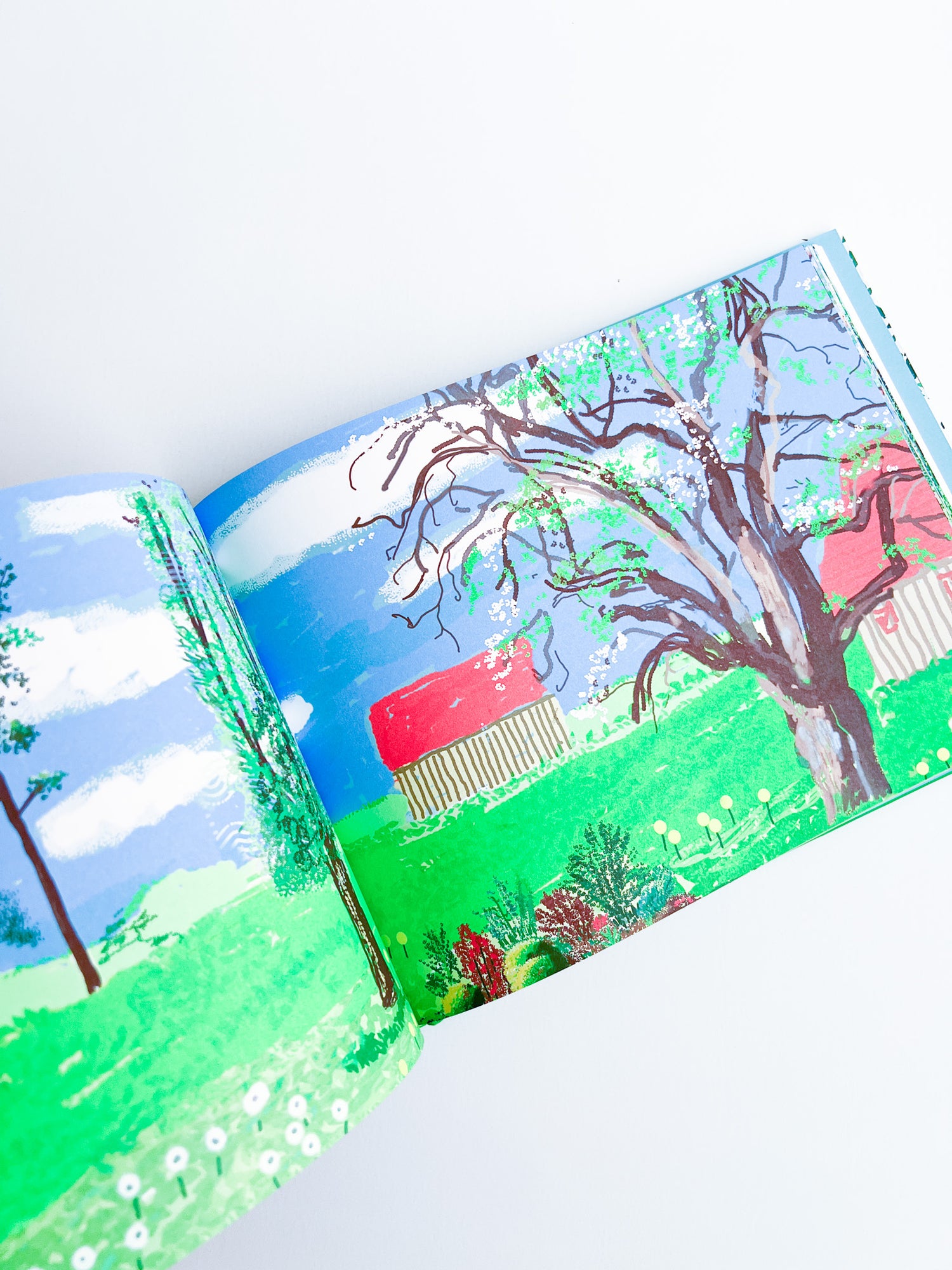 David Hockney : A Year in Normandie and Some Other Thoughts about Painting / David Hockney