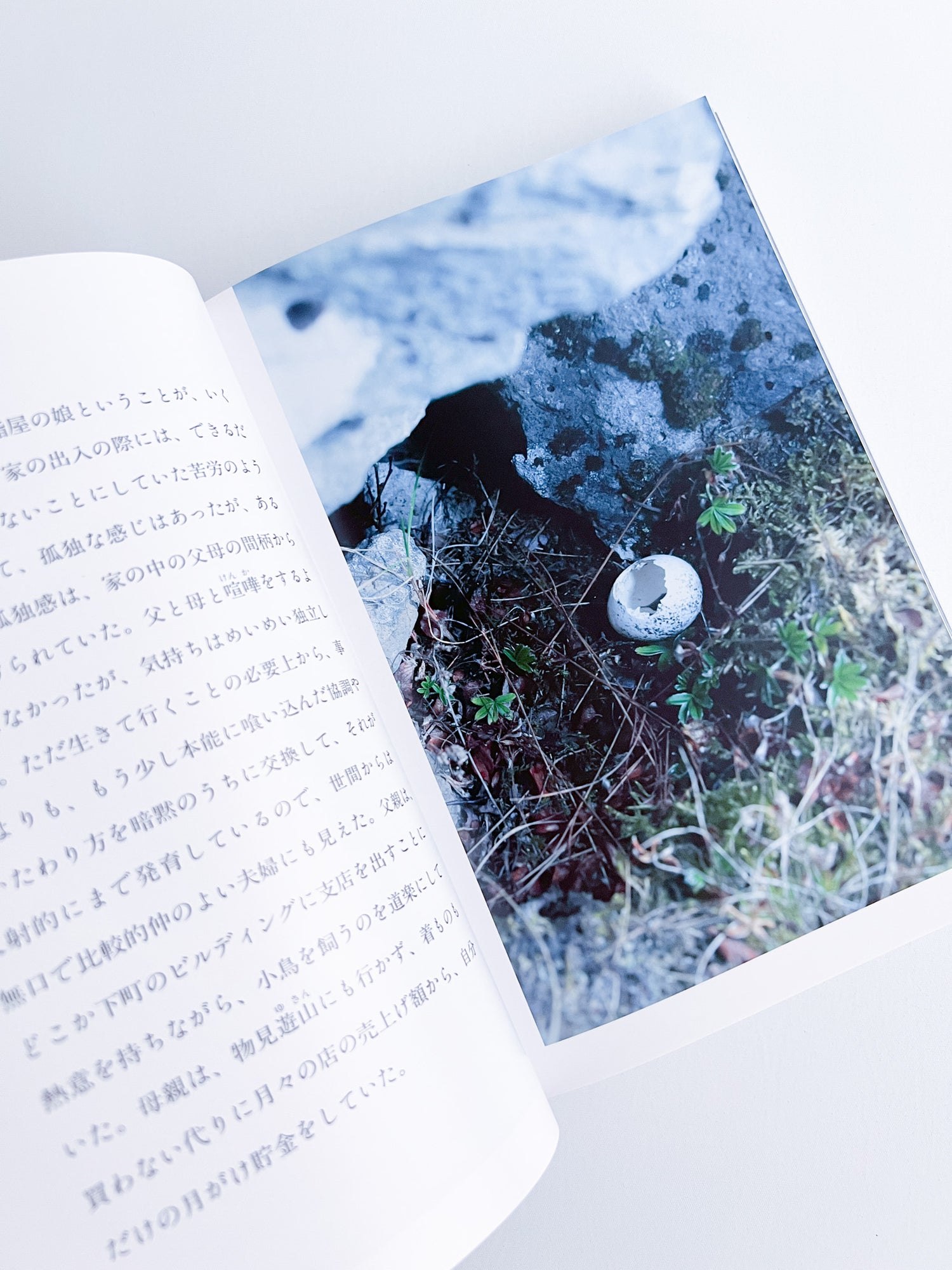 Kanoko / Ayaka Endo [Japanese Edition] [SIGNED]