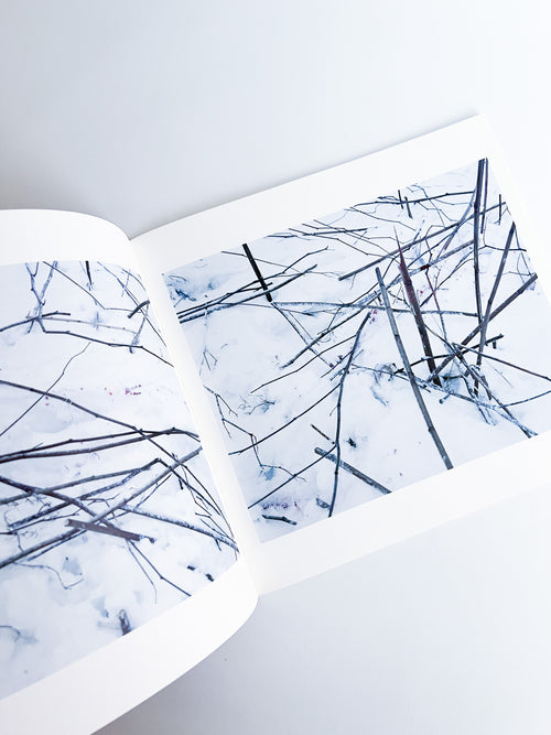 Trails / Takashi Homma