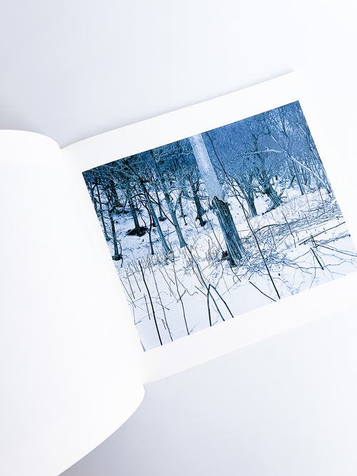 Trails / Takashi Homma