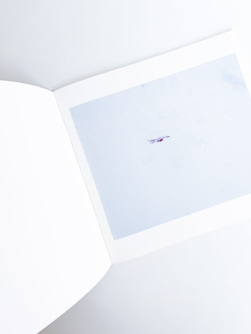 Trails / Takashi Homma