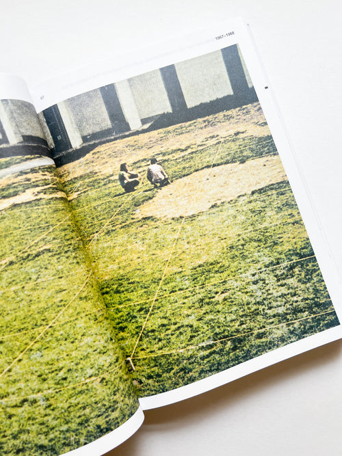 BEYOND CONCEPTUAL ART / Seth Siegelaub