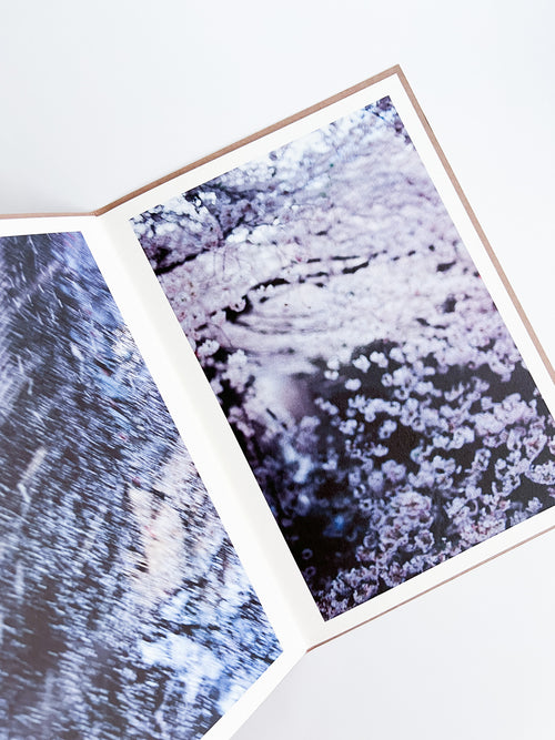 PLANT A TREE / Mika Ninagawa [PP Edition, SIGNED]