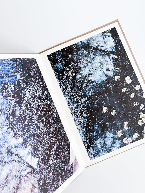 PLANT A TREE / Mika Ninagawa [PP Edition, SIGNED]