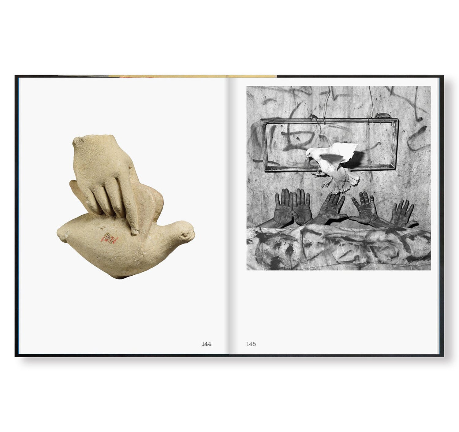 JEUX DE MAINS / Cécile Poimbœuf-Koizumi & Stephen Ellcock