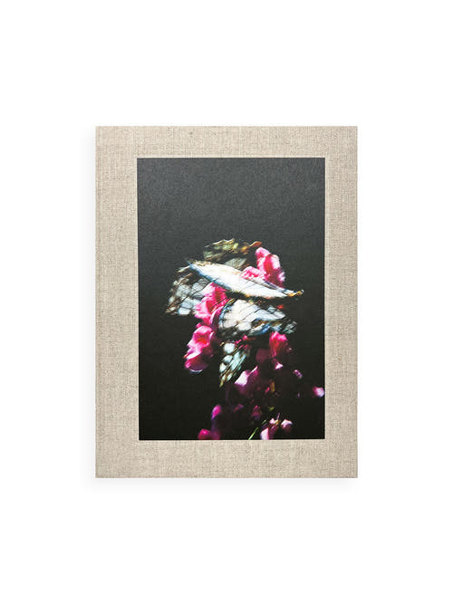 KANON / Shimpei Yamagami [SIGNED]