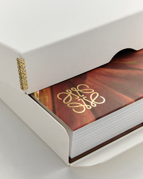 CRAFTED WORLD: JONATHAN ANDERSON'S LOEWE