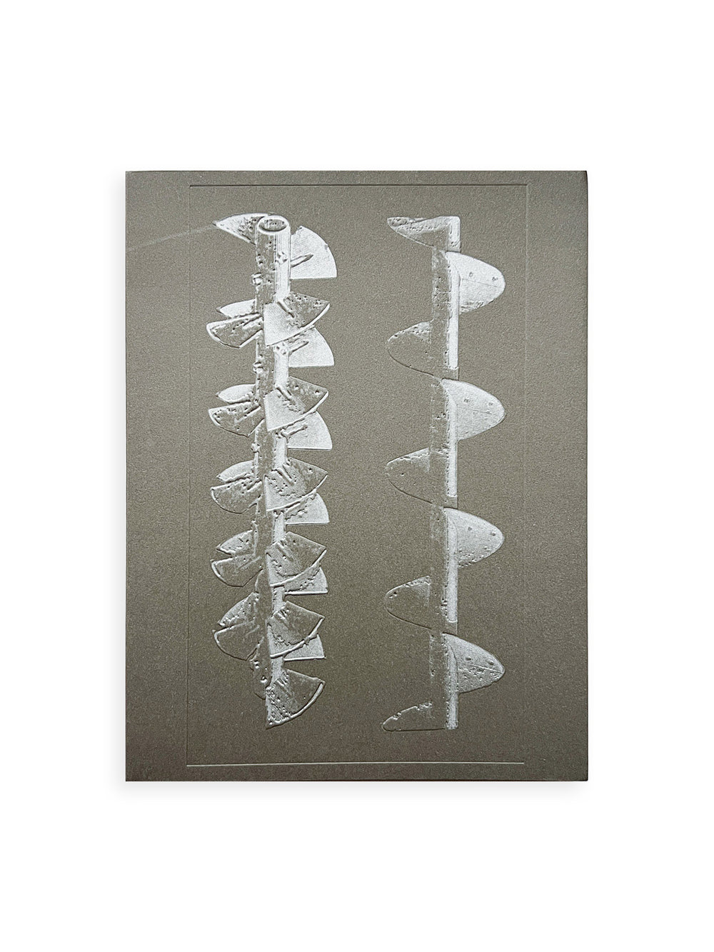 La Nonpareille / Batia Suter