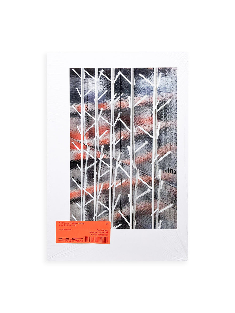 No thanks, I’m just looking / Lisa Sudhibhasilp