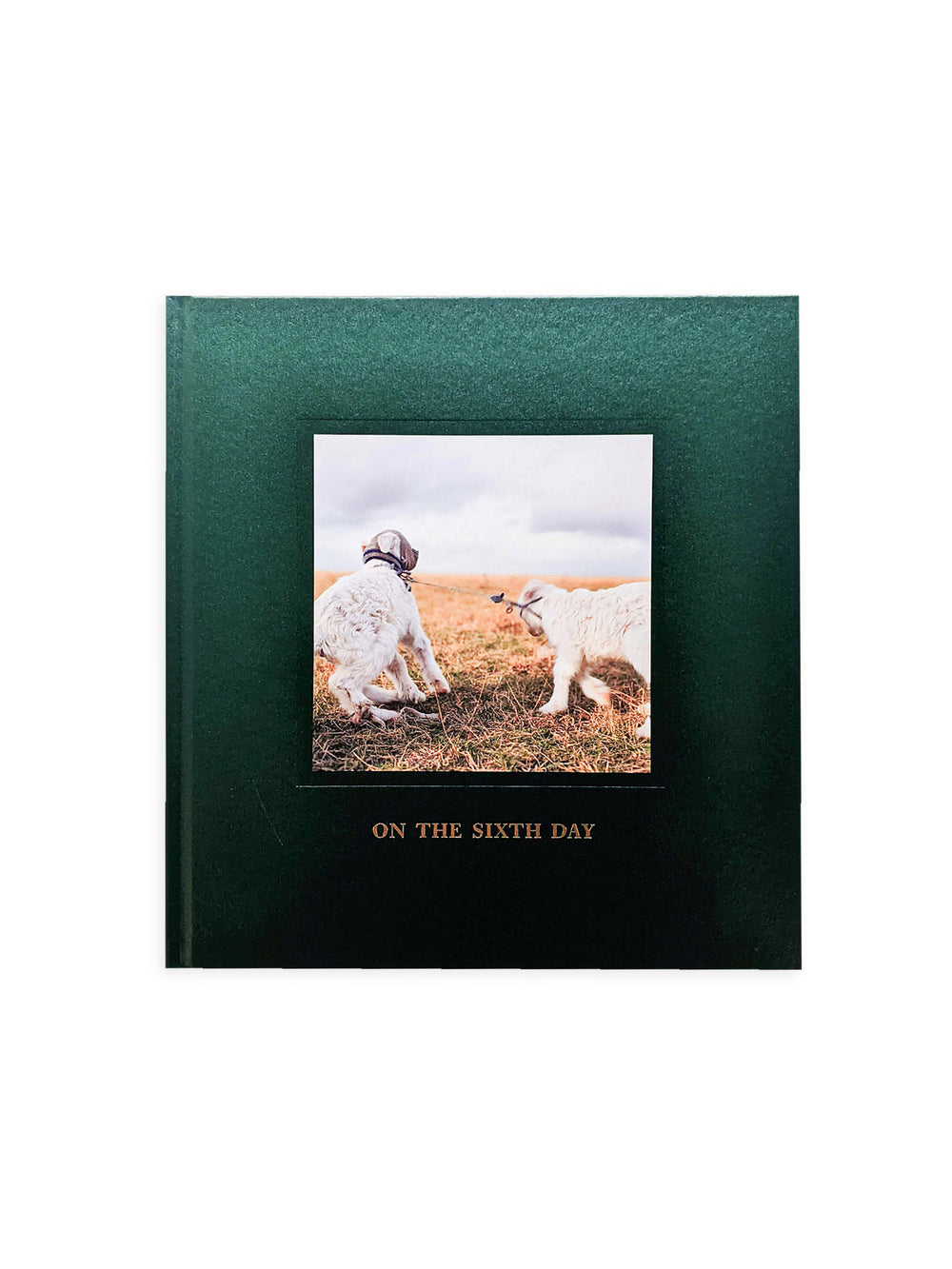 ON THE SIXTH DAY / Alessandra Sanguinetti [SIGNED]