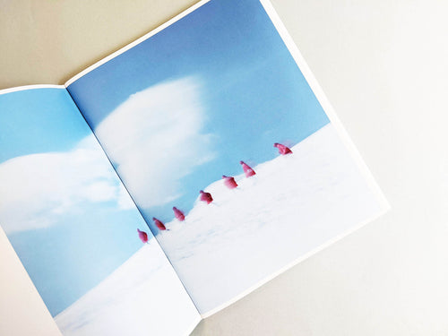 Assembly snow 2 / Osamu Yokonami