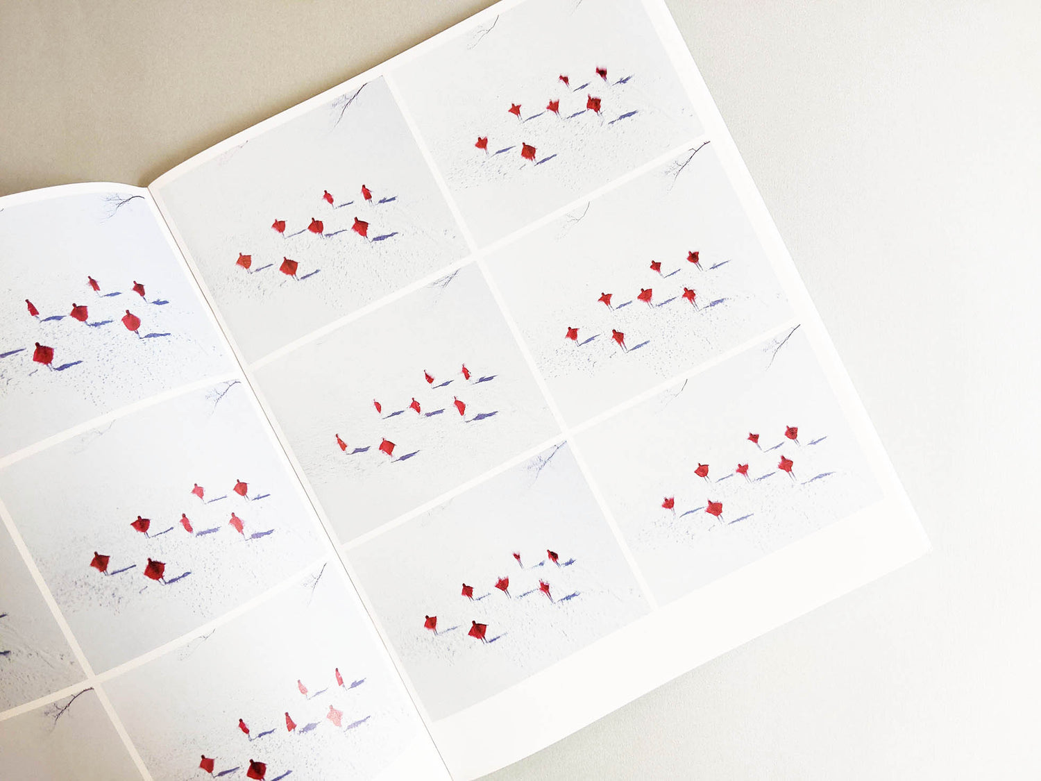 Assembly snow 2 / Osamu Yokonami