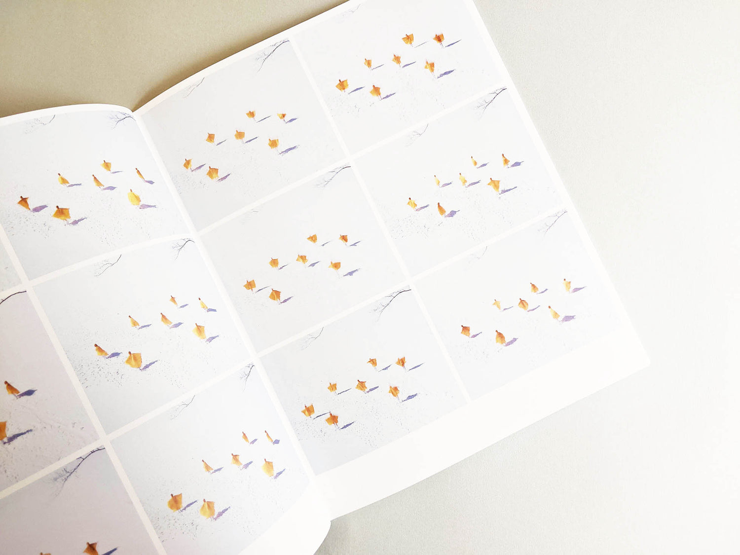 Assembly snow 2 / Osamu Yokonami