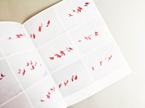 Assembly snow 2 / Osamu Yokonami