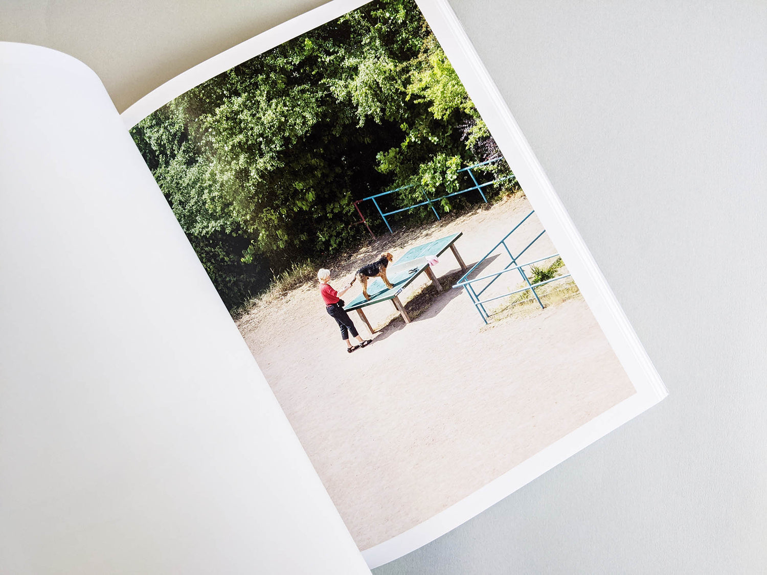 TTP / Hayahisa Tomiyasu