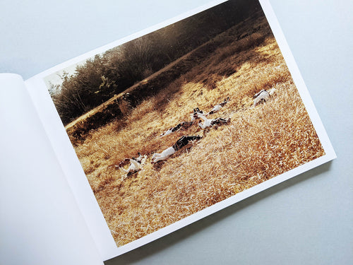 Assembly / Osamu Yokonami