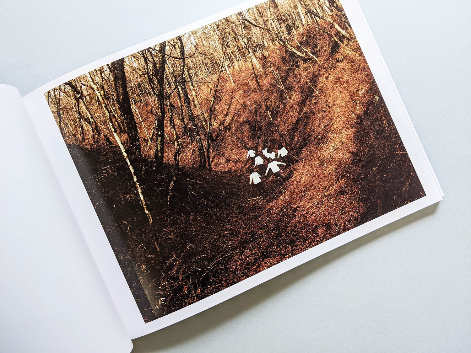 Assembly / Osamu Yokonami