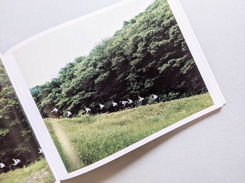 Assembly / Osamu Yokonami