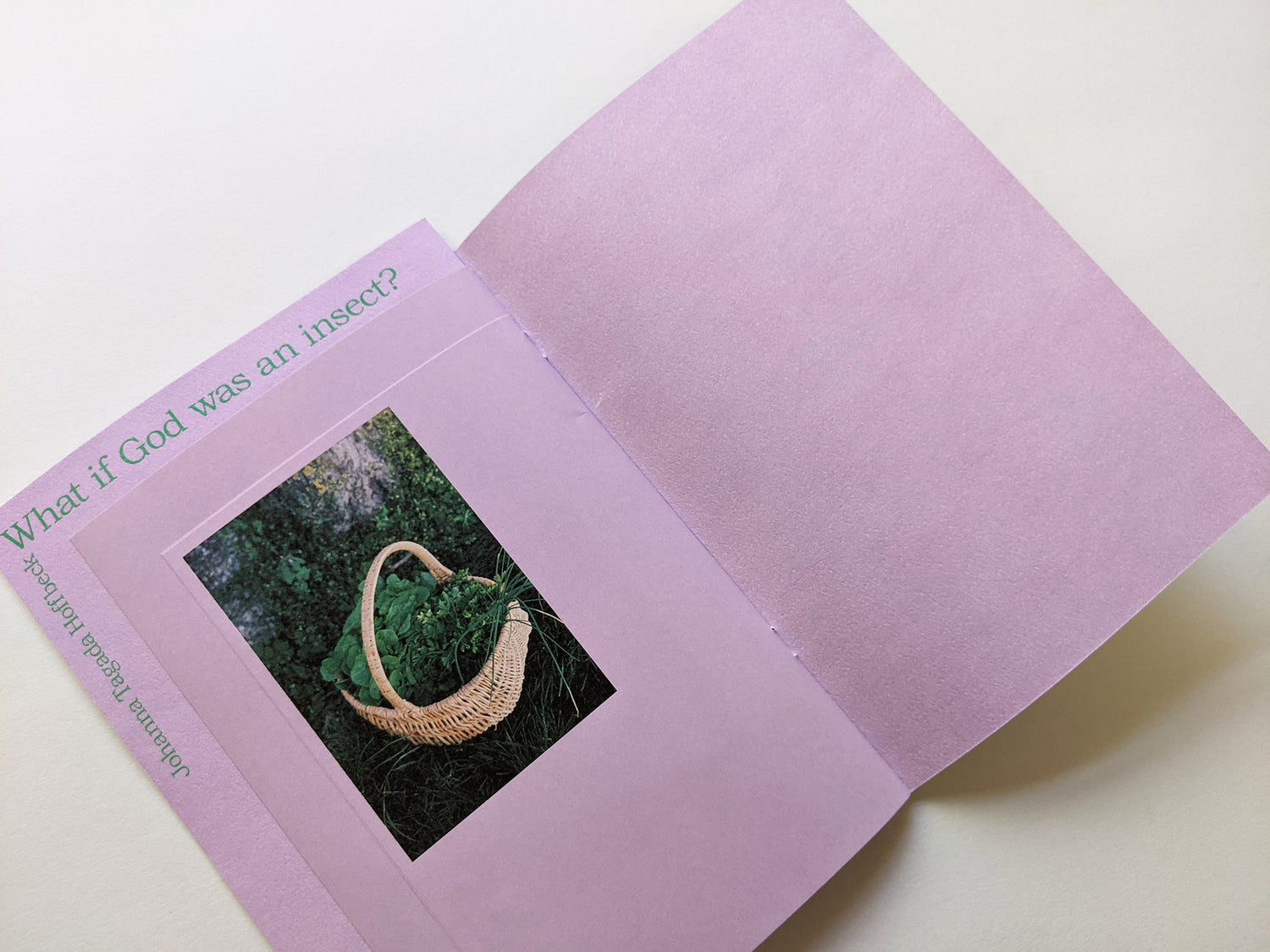 What if God was an insect? by Johanna Tagada Hoffbeck