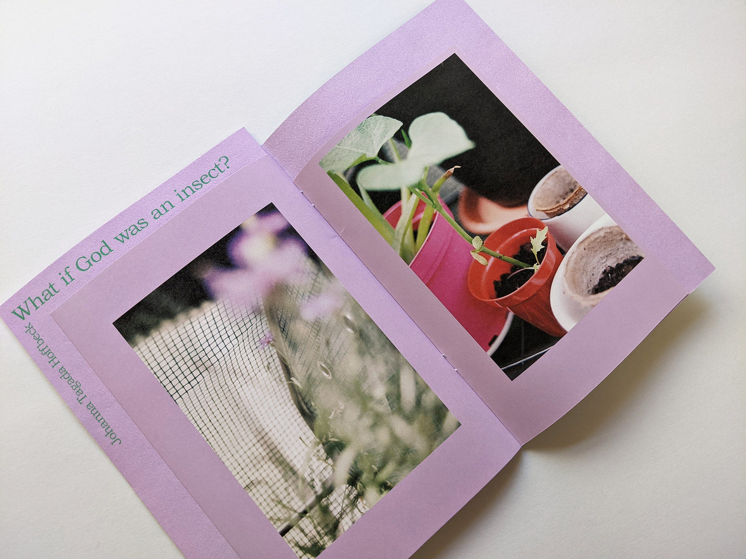 What if God was an insect? by Johanna Tagada Hoffbeck