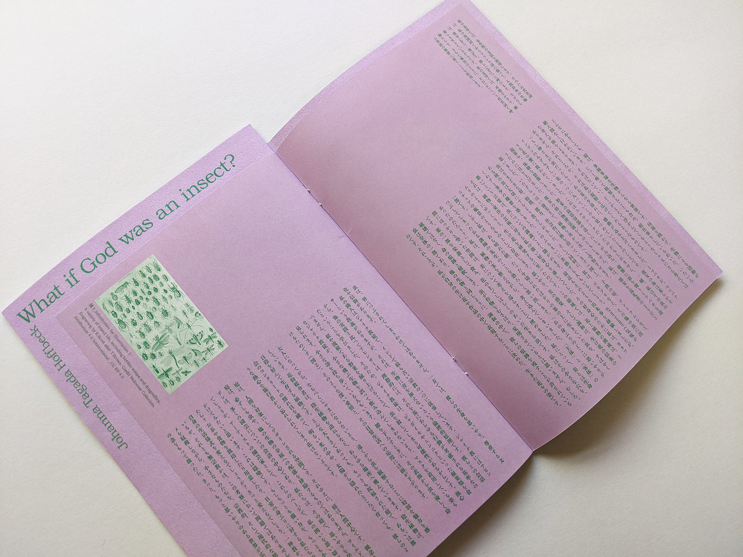 What if God was an insect? by Johanna Tagada Hoffbeck