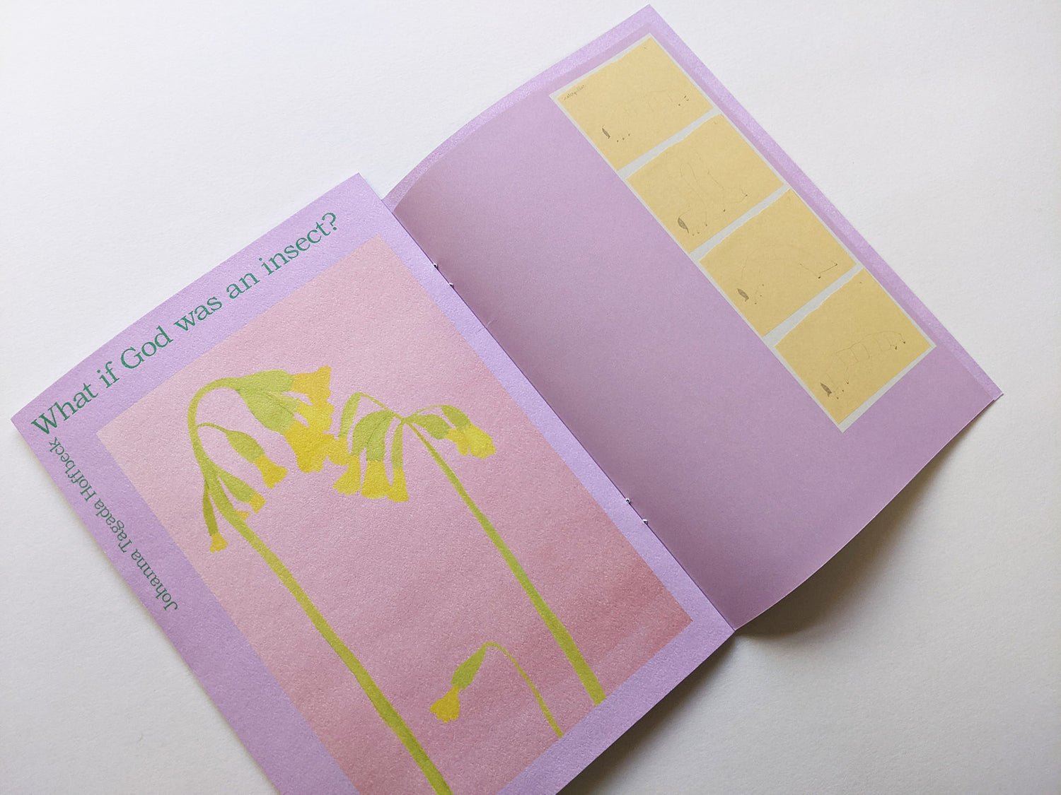 What if God was an insect? by Johanna Tagada Hoffbeck