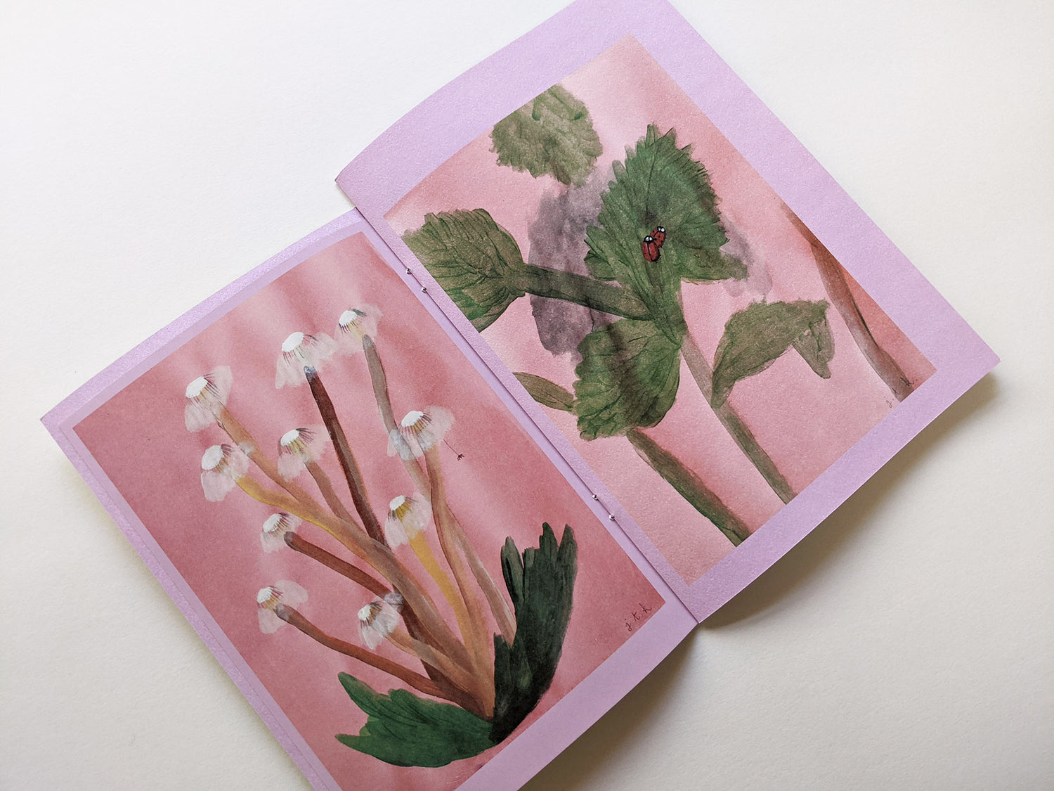 What if God was an insect? by Johanna Tagada Hoffbeck