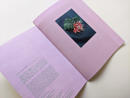 What if God was an insect? by Johanna Tagada Hoffbeck