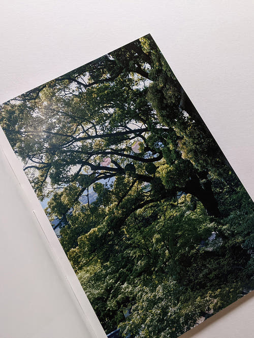 Seeing Itself－見えないものを見る / Takashi Homma